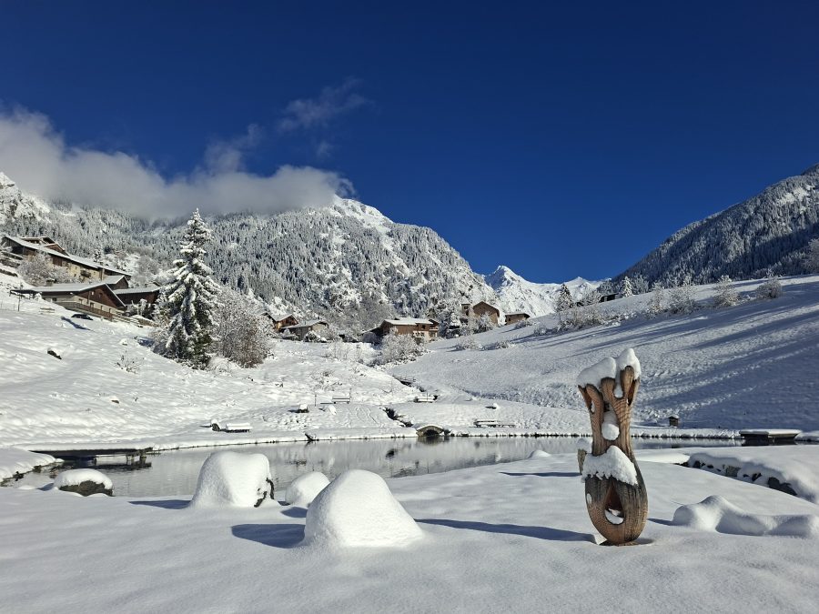 Découvrez la Magie des Premières Neiges à la Résidence les Edelweiss !